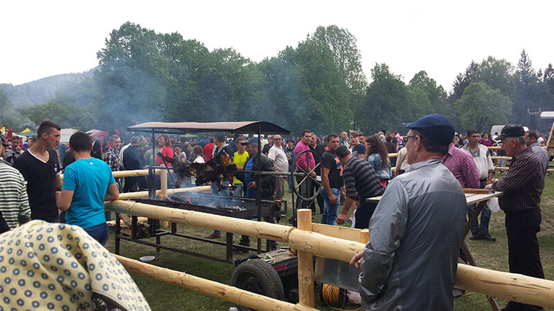 Distractie Hora Bucovinei