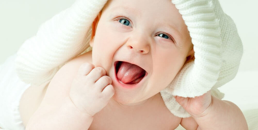 Bebelus Dragut