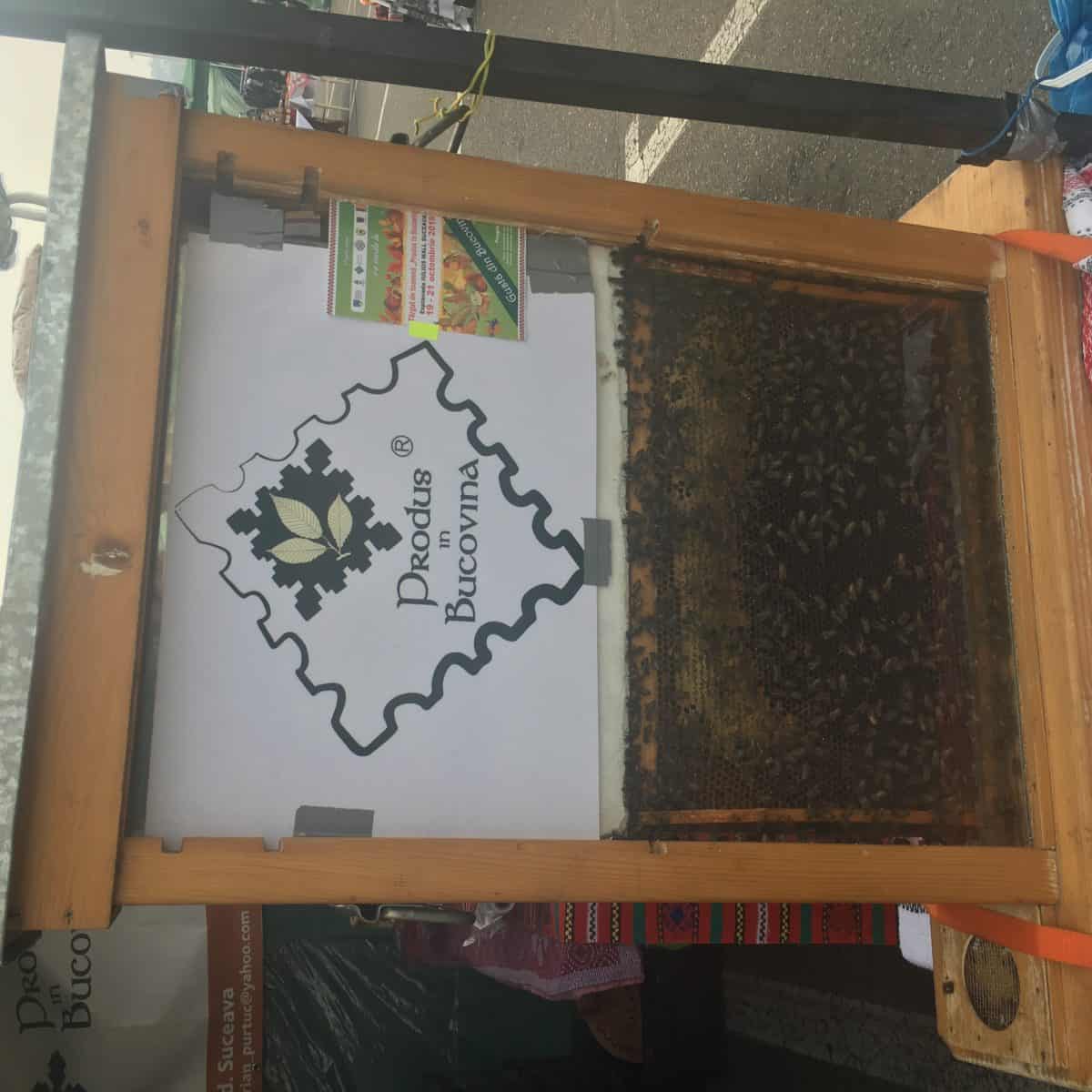 Am fost la Târgul de Toamnă "Produs în Bucovina" 2018