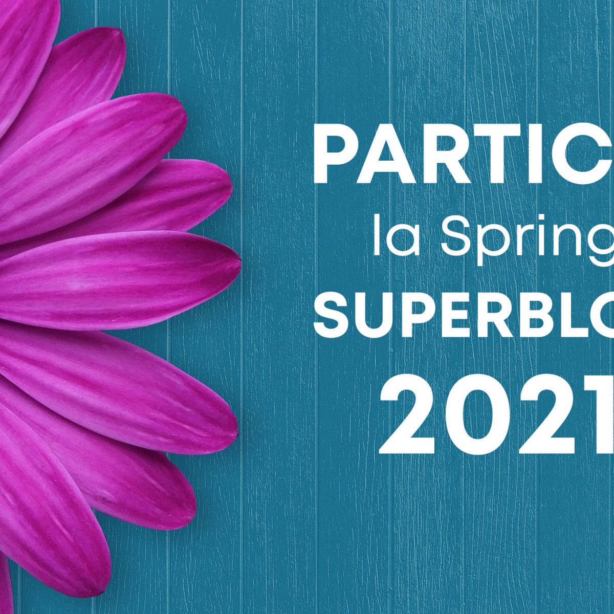 AndreiCenusa-Spring-SuperBlog-2021