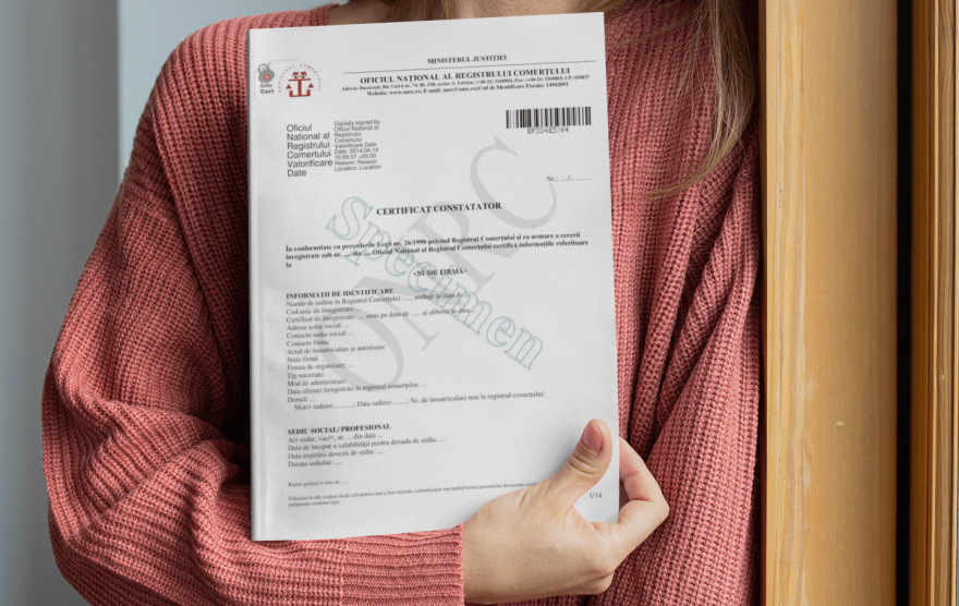 Certificat Constatator Online: Soluția Ta Rapidă