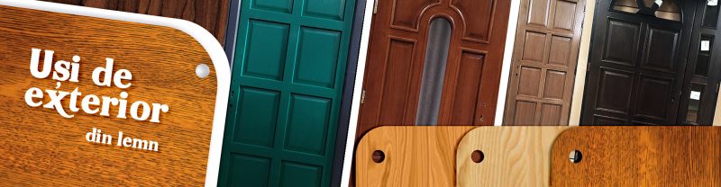usi de exterior lemn masiv stejar